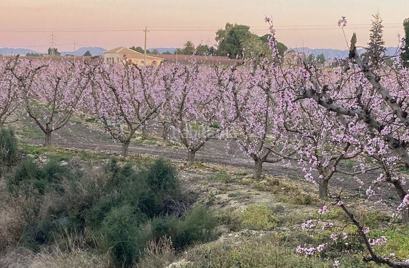 Foto 9fb9416d-f630-4e71-89a2-65f0c174bf18. Finca rústica en Cieza