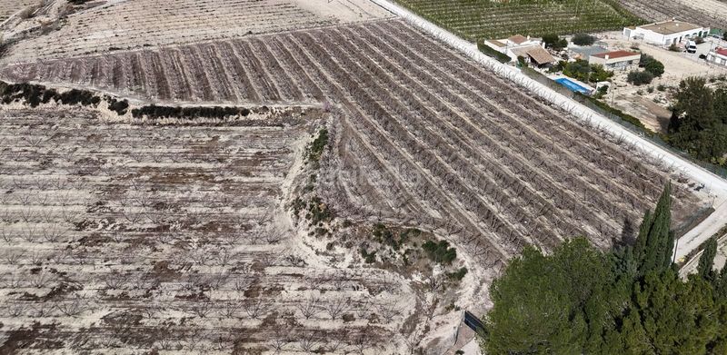 Foto aa20e3bf-1aed-46d0-8527-9af57bd6412f. Finca rústica en Cieza