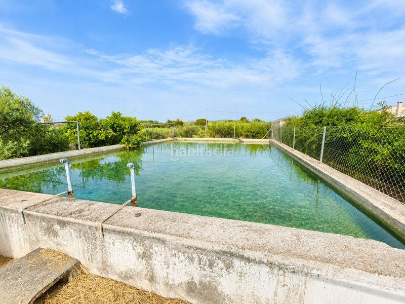 Foto 8558ce53-2ff0-41a0-9452-fa07f42ec8d6. Masia amb aparcament piscina a Cehegín