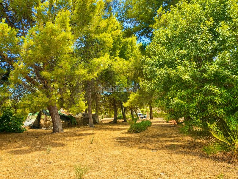 Foto b11480b7-21c3-450f-9efe-5b52454043e9. Masia amb aparcament piscina a Cehegín