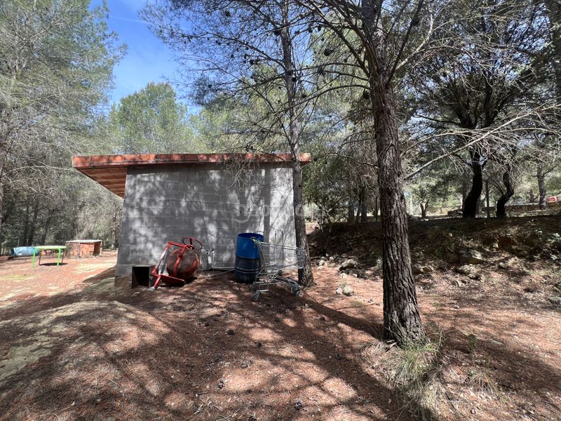 Foto 26adc91d-2185-4f8c-b7b4-5cda4a18e112. Finca rústica a Castellvell del Camp