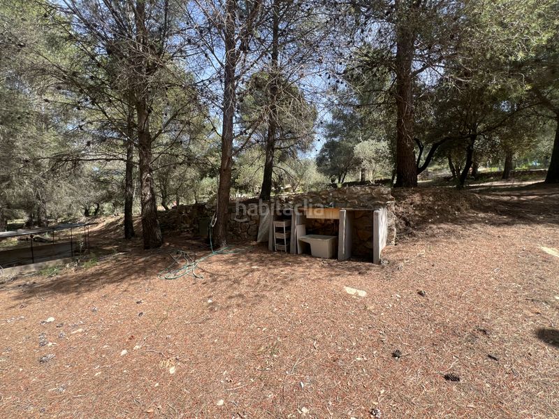 Foto 4b81f9aa-d3e4-4f87-b85c-8ad7cafd2c79. Finca rústica a Castellvell del Camp