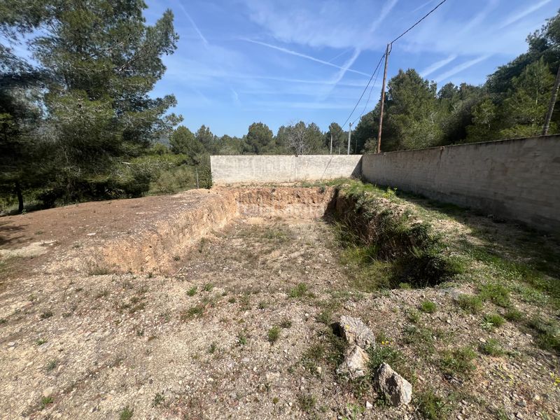 Foto f89bc31f-ad62-4784-8ca0-e689b38c9f3a. Finca rústica a Castellvell del Camp