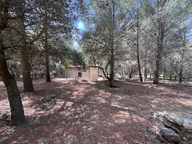 Foto fb62aedc-0e9c-4154-ae28-a1a14f026bc2. Finca rústica a Castellvell del Camp