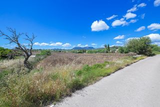 Fondo rustico  Poligono. Solar rústico de 8.730 m2 en llucmajor