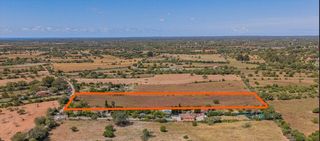 Finca rústica  Poligono. Solar rústico de 8.730 m2 en llucmajor