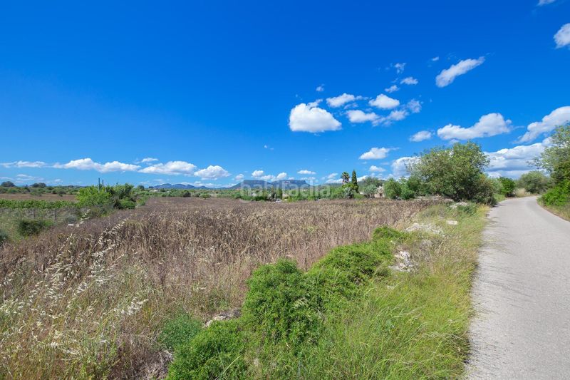 Foto ab0b9c89-b9d5-4c7e-9df7-1206976e64df. Finca rústica a Llucmajor interior Llucmajor