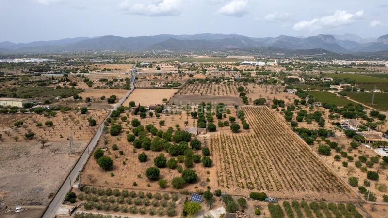 Foto 2ab58891-9f72-4872-9ac0-dc8a79cafdd2. Finca rústica a Consell
