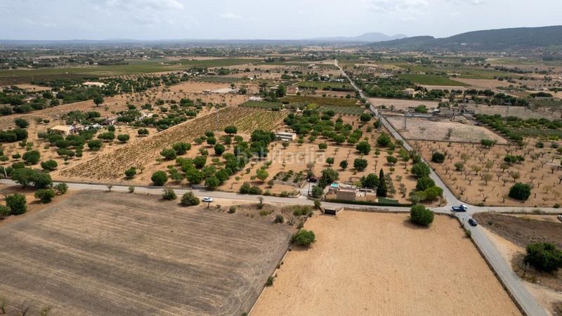 Foto 3a28d014-2609-4fe8-bfb0-6a776a7e508b. Finca rústica a Consell