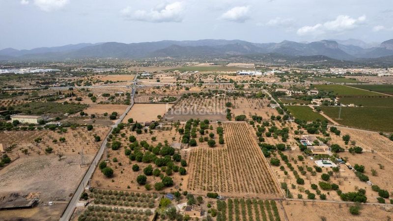 Foto 6d9b911a-0476-4aab-935c-9460d4490484. Finca rústica a Consell