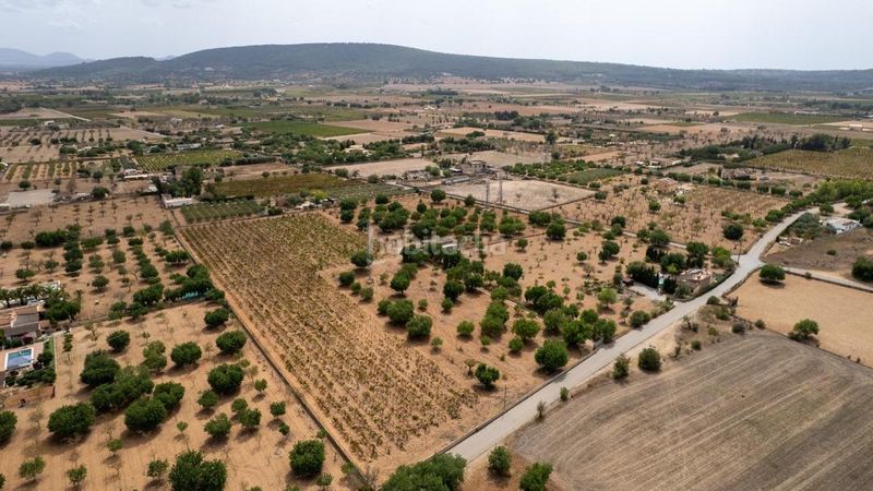 Foto a15f9a6b-0c0a-4fb1-be4c-50289b4218eb. Finca rústica a Consell