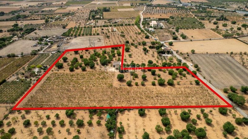 Foto a74b5368-be0c-444d-a772-3822b2adc348. Finca rústica a Consell