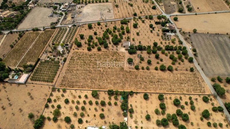Foto da07b7c8-ac78-4a7c-bef4-d43602055aa7. Finca rústica a Consell