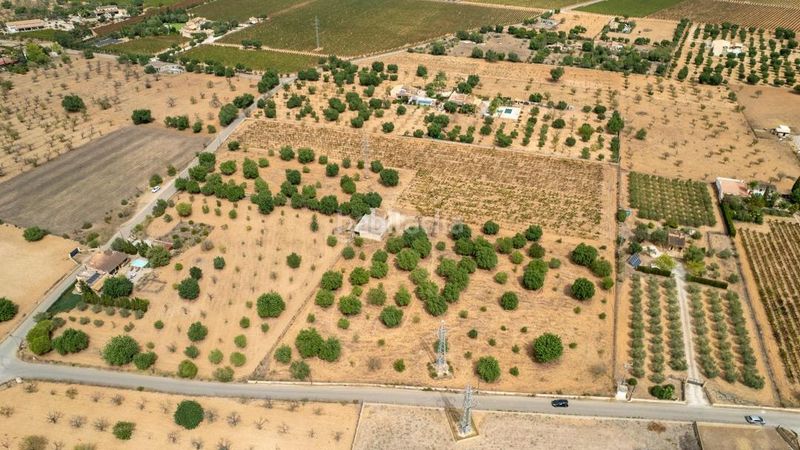 Foto ebfe7cd3-7a88-4cc8-8fc3-c8f54d34d9a0. Finca rústica a Consell