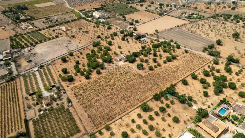 Foto f795a0fe-8470-46e7-bb30-d4e395d7e649. Finca rústica a Consell