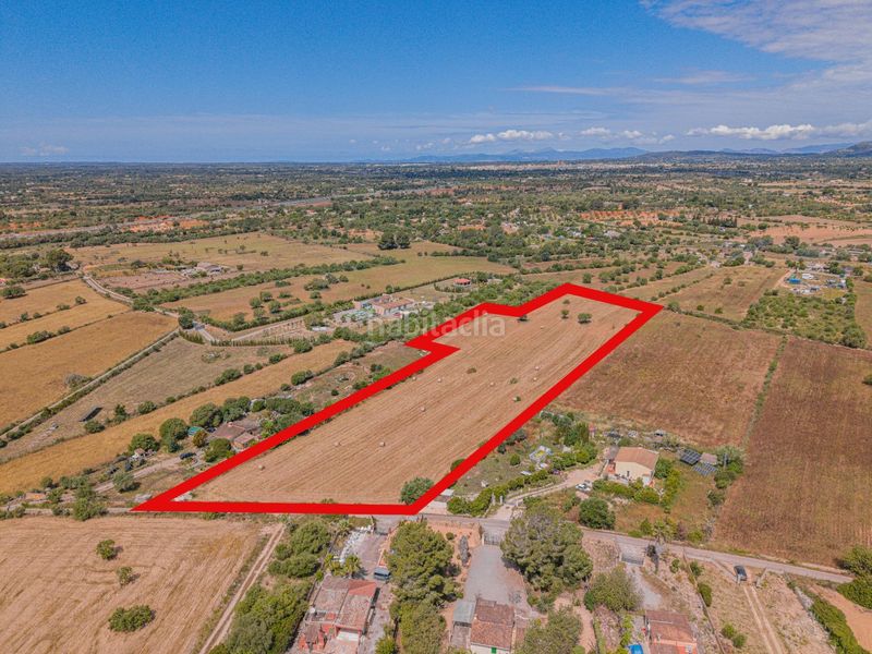 Foto 42f9ee1c-6d9f-44e7-b929-d7dbf9d762e3. Finca rústica a Llucmajor interior Llucmajor