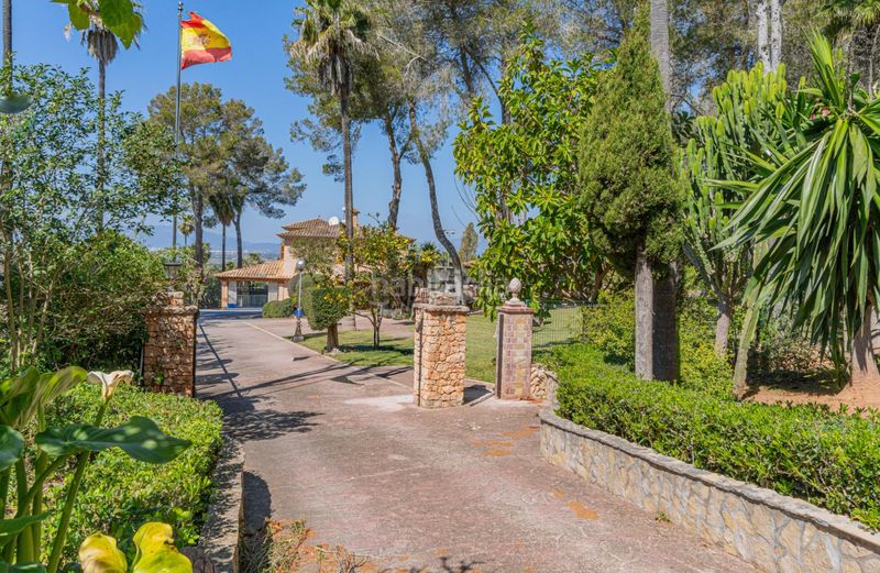 Foto b303fe65-1fdb-4f91-aaec-e9f3aab7ea2f. Masia amb aparcament piscina a S´Aranjassa Palma de Mallorca