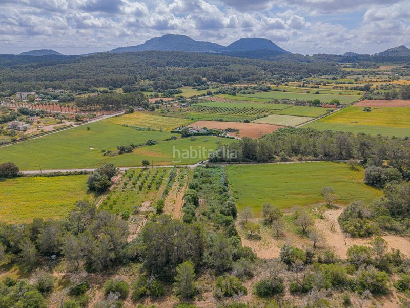 Foto 5ba06e6c-fb04-4151-83bd-e10a6c45cf97. Finca rústica a Algaida
