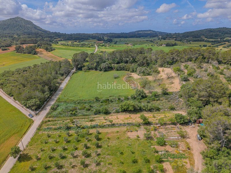 Foto 68d2c64b-bd02-4199-a3a8-2355047c220d. Finca rústica a Algaida
