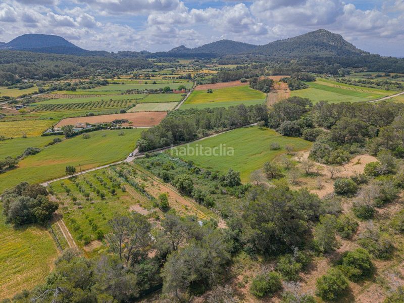 Foto 8c2b5dea-02d2-47be-88e7-eadea4d892cd. Finca rústica a Algaida