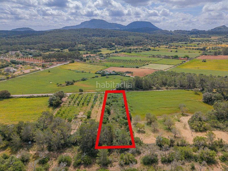 Foto d1f3373f-7286-4efb-aa4c-c8254a15ff91. Finca rústica a Algaida