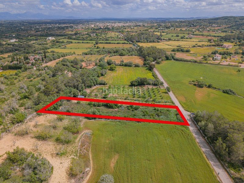 Foto ed005d60-92f9-4b56-8f36-49d82c68bed4. Finca rústica a Algaida