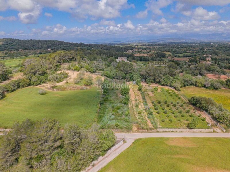 Foto f7a96117-5f88-4fd4-ba14-a272037ab01c. Finca rústica a Algaida