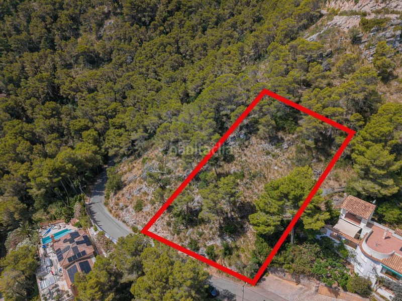 Foto 1f578928-9b7b-4180-94e6-b0f835ed1c1e. Terreny residencial a Canyamel Capdepera