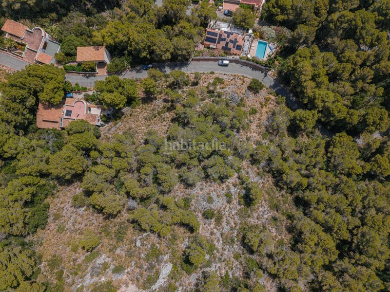 Foto f0ef0963-da47-454b-b1e7-f47052d325c3. Terreny residencial a Canyamel Capdepera