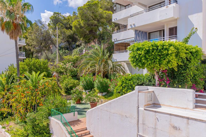 Foto 391dfc8e-ed06-4b8f-bd60-c9a1b466cad5. Apartament amb calefacció piscina a Costa de la Calma Calvià
