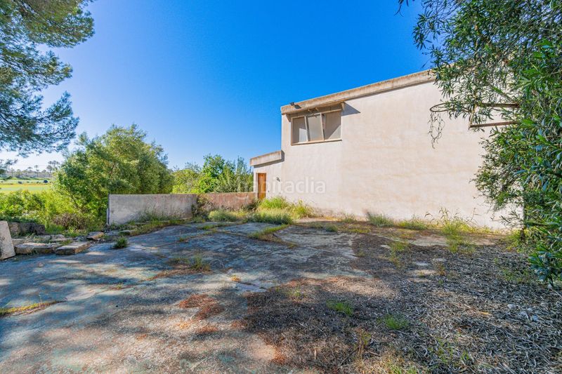 Foto ca8d2c59-b2d1-46d7-8531-8d287f98263f. Terreny residencial a Costa de la Calma Calvià