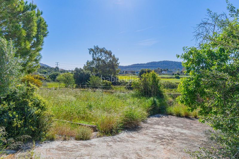 Foto f0c164f6-b880-4568-95d2-14a57caa96ab. Terreny residencial a Costa de la Calma Calvià