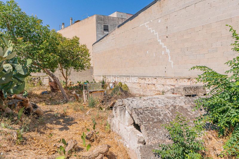 Foto c8413344-3d21-4e00-bdf5-6d042facf12e. Terreno residencial en carrer de lluís carreres 38.99 solar urbano en venta villa en Muro
