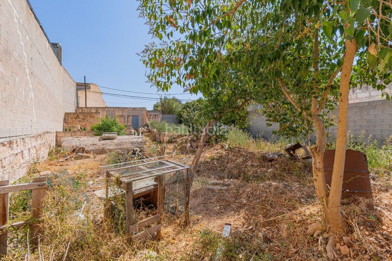 Foto d3a9551c-559b-4431-8c16-7f88f5106c8f. Terreno residencial en carrer de lluís carreres 38.99 solar urbano en venta villa en Muro