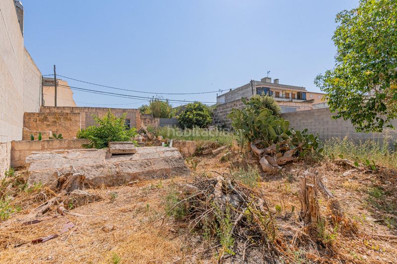 Foto e72655c6-a82c-4f12-9a5d-7cbf71f98b8b. Terreno residencial en carrer de lluís carreres 38.99 solar urbano en venta villa en Muro