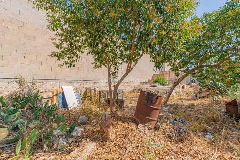Foto f7af9862-a496-474b-bd54-f708e52ce89c. Terreno residencial en carrer de lluís carreres 38.99 solar urbano en venta villa en Muro