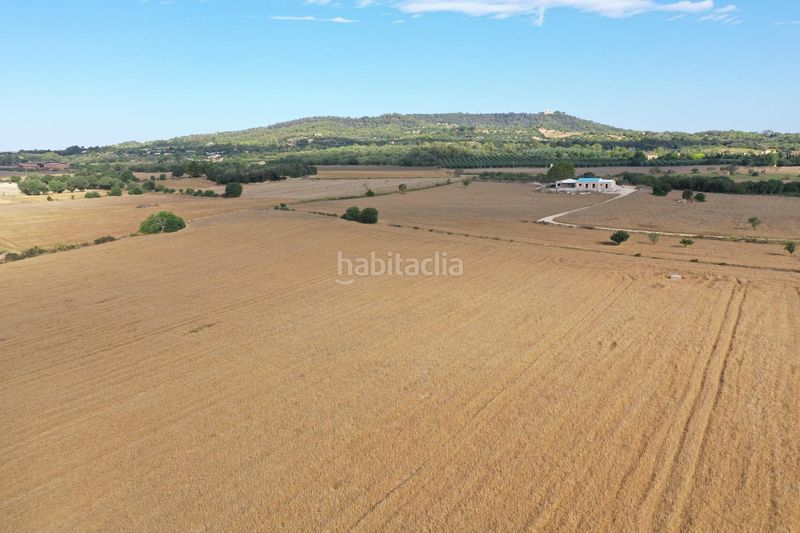 Foto 3eb5227d-5430-4412-8905-d9c762c31d06. Terreny residencial a Petra