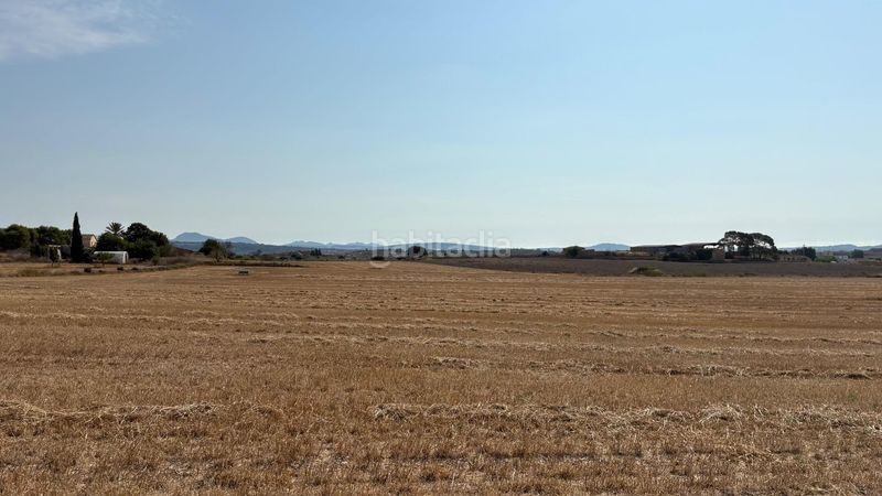 Foto 5abae30a-13fe-4bb6-a9e1-a31af5912f55. Terreny residencial a Petra