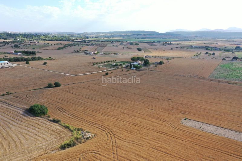 Foto 8d9bd4e6-c2b7-4303-b465-8934437fa33d. Terreny residencial a Petra