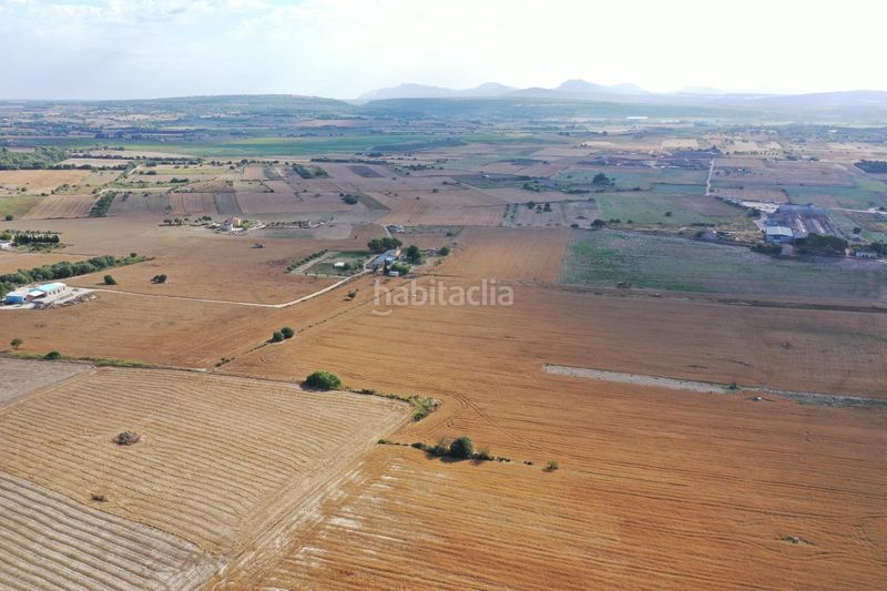 Foto da01376b-4f78-49fe-ba56-33188dac8455. Terreny residencial a Petra