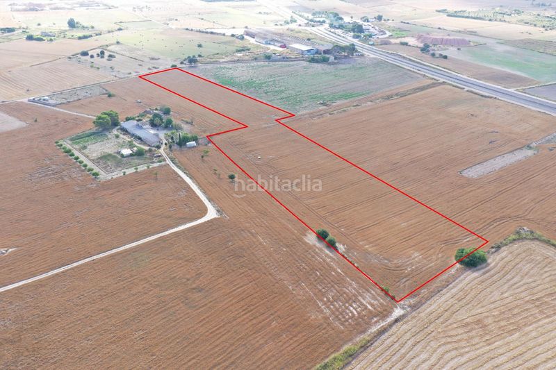 Foto ef71ff28-1bd6-4ee1-8a85-0363d9d7b299. Terreny residencial a Petra