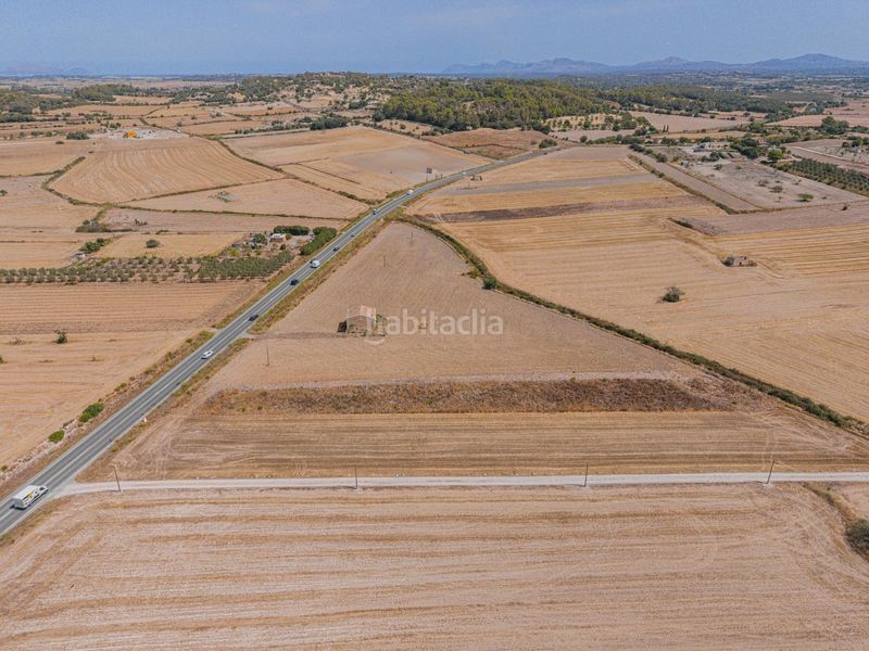 Foto 11bdeeed-0051-440d-8944-355c949b64cb. Finca rústica a Sineu