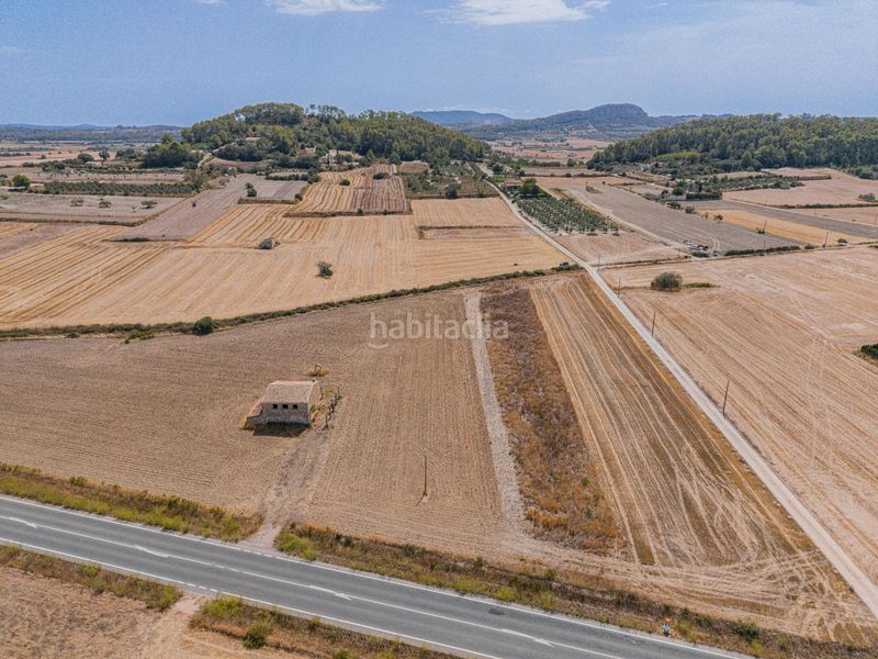 Foto 24b1f052-7376-421b-94a6-fa70fe04829f. Finca rústica a Sineu