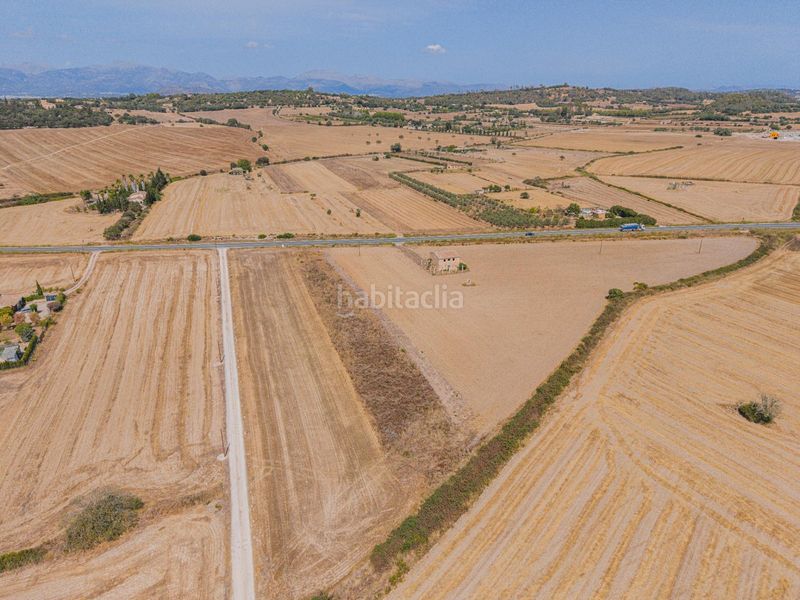 Foto 8eb5a41d-94ec-471f-bbe2-97948b135c03. Finca rústica a Sineu