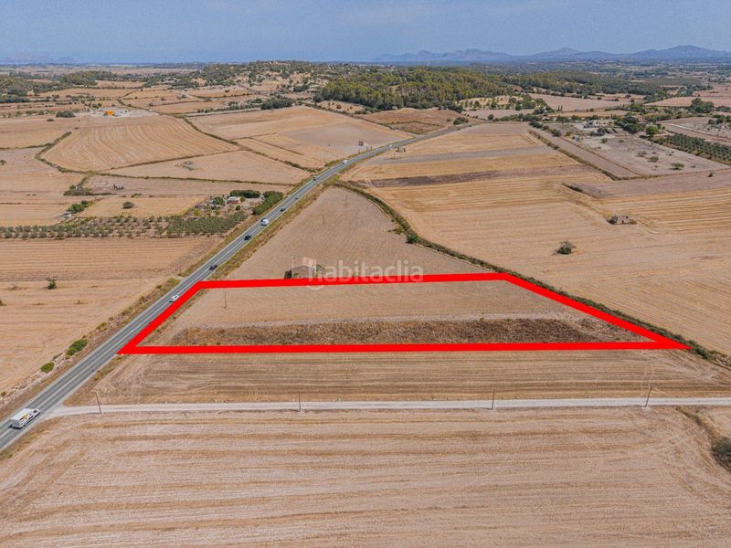 Foto b5b700d4-c982-4601-a6c0-132ddf7d4cf8. Finca rústica a Sineu