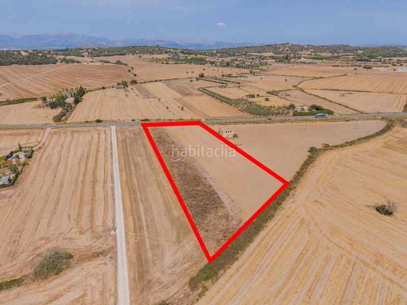 Foto e8768960-a419-452d-a79c-1c59a0718ad1. Finca rústica a Sineu