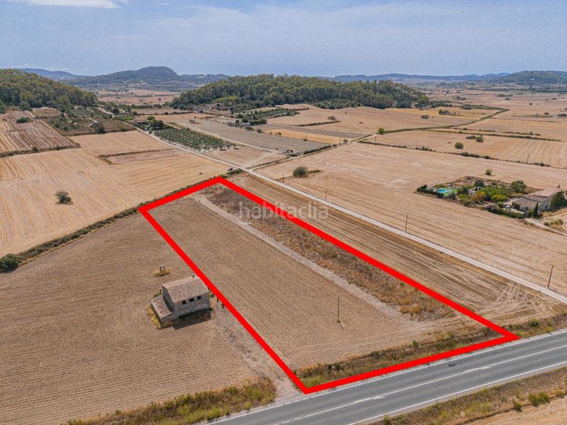 Foto fb8aaf68-db3f-4999-9f8c-2d530646ab83. Finca rústica a Sineu