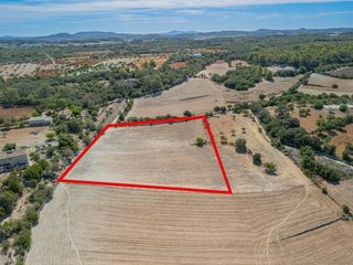 Terreny residencial a Sineu. En venta terreno rústico en sineu