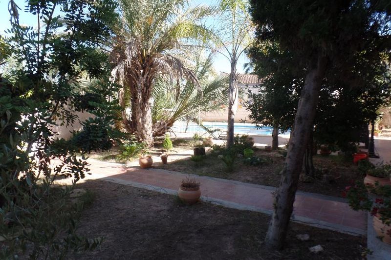 Foto 32eb66ae-7948-4387-b86f-57a2dfd1cda2. Lloguer xalet amb xemeneia calefacció aparcament piscina a Riba - roja de Túria
