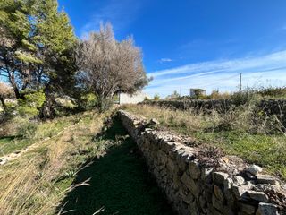 Terreny residencial a Partida Tosal - Zona dels Castellans